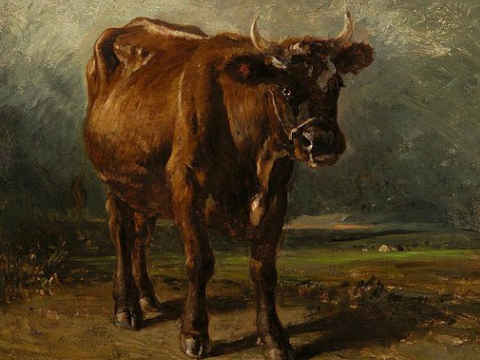 The Purple Cow